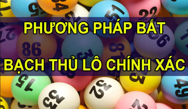 Phương pháp bắt bạch thủ lô dễ dàng